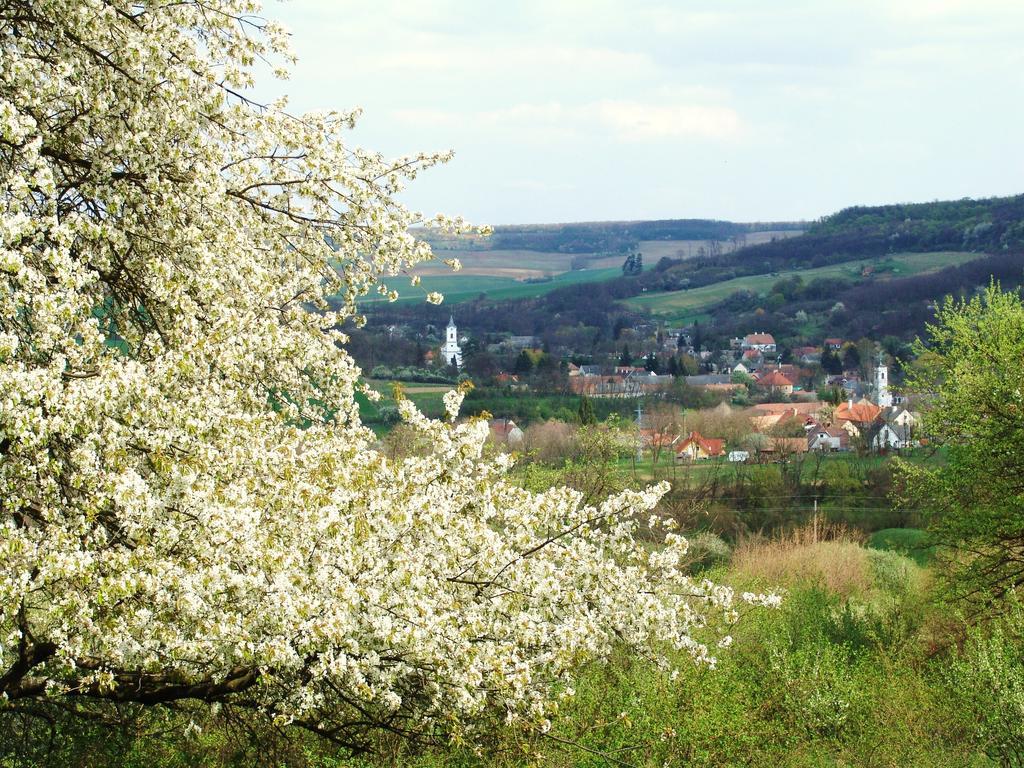 Kapolcs Cottage Zewnętrze zdjęcie