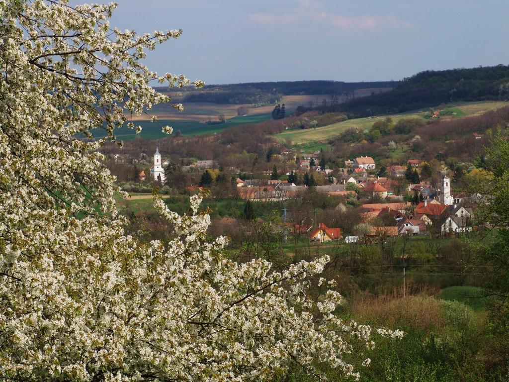 Kapolcs Cottage Zewnętrze zdjęcie